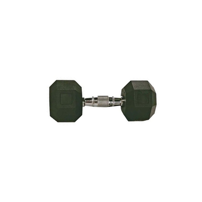 Troy Rubber Hex Dumbbell 10 Lbs.