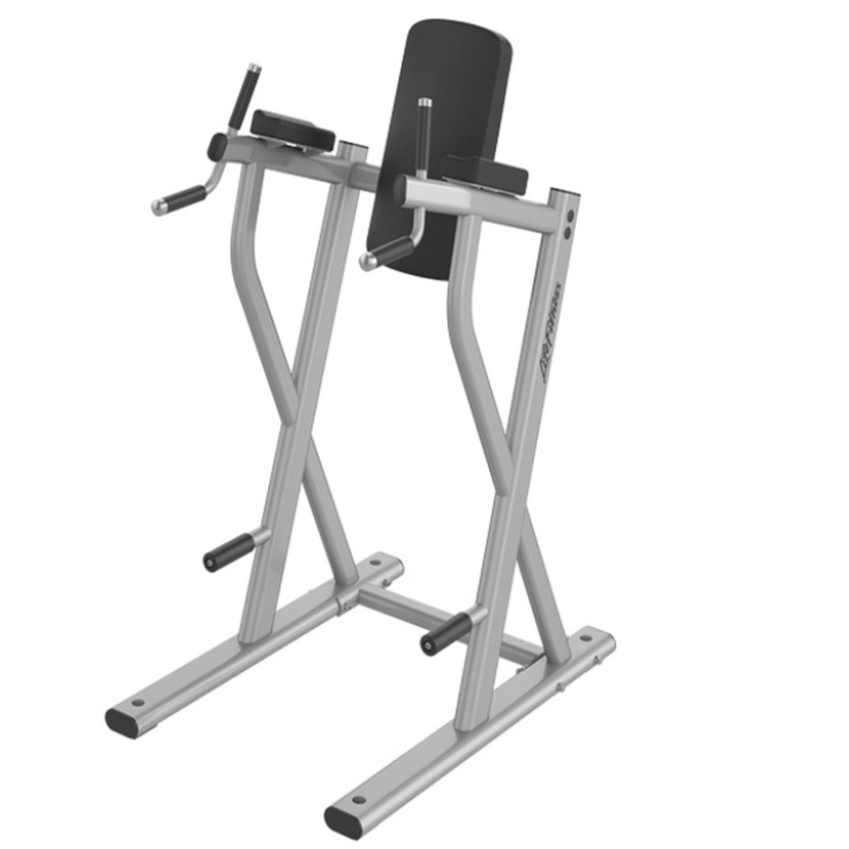 Banco Para Chin Dip y Elevación de Piernas Life Fitness