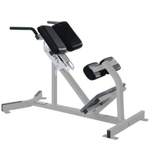 Banco Para Extensión de Espalda Hammer Strength