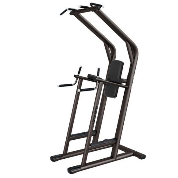 Banco de Chin Dip y Elevación de Piernas Life Fitness Signature