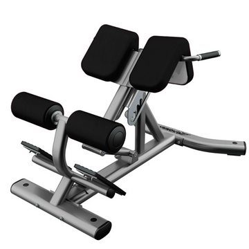 Extensión de Espalda Life Fitness Signature