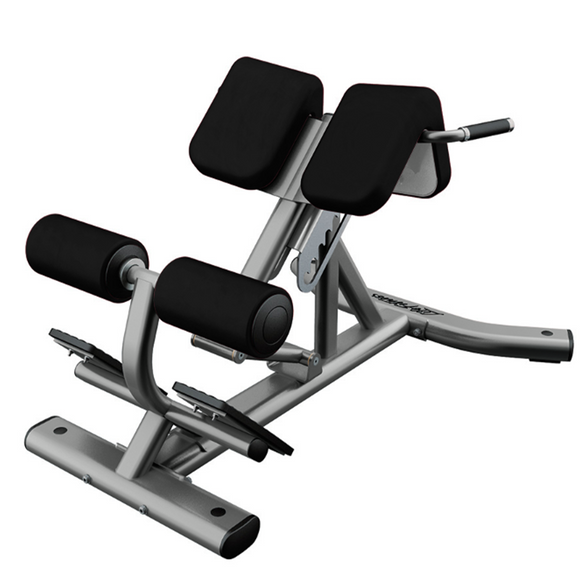 Extensión de Espalda Life Fitness Signature