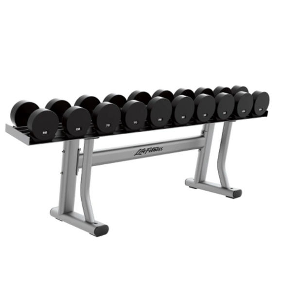 Rack de Mancuernas Life Fitness