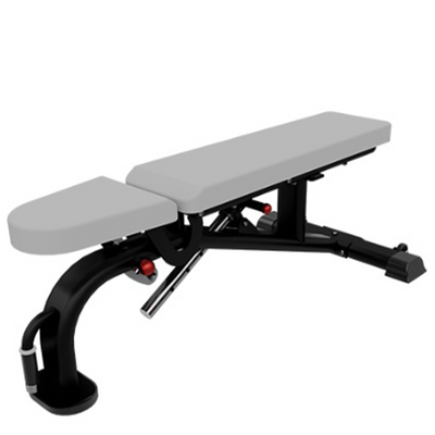 Banco Ajustable Nautilus Instinct Series Multi Adjustable Bench Fitness For Life Dominicana