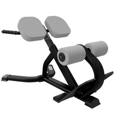 Banco para espalda baja Nautilus Instinct Series 45° Back Extension Fitness For Life Dominicana