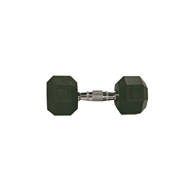 Troy Rubber Hex Dumbbell 20 Lbs.