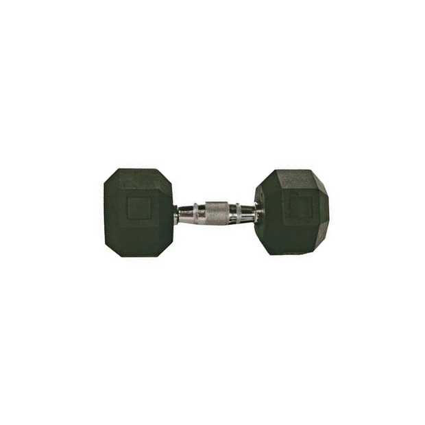 Troy Rubber Hex Dumbbell 45 Lbs.