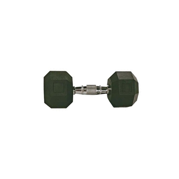 Troy Rubber Hex Dumbbell 45 Lbs.
